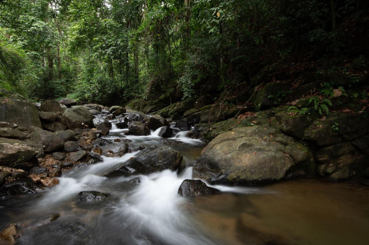 Moksha At Kitulgala - Rainforest Boutique Hotel Экстерьер фото